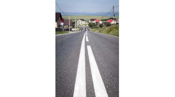 Loial Portofoliu portofoliu 218