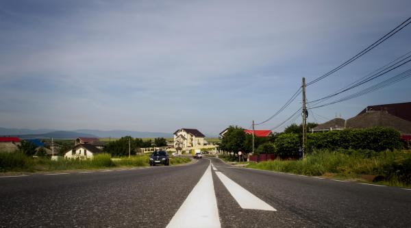 Loial Portofoliu portofoliu 219