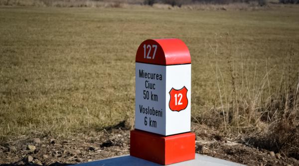 Loial Portofoliu portofoliu 241