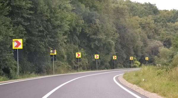 Loial Portofoliu portofoliu 242