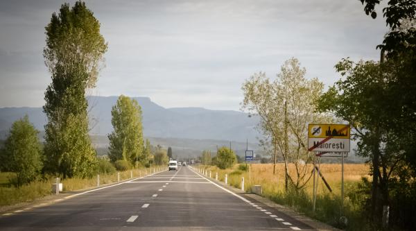 Loial Portofoliu portofoliu 243