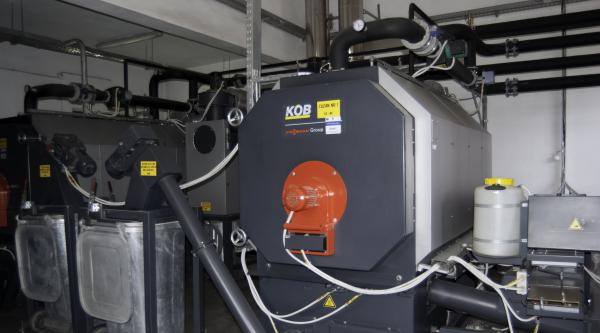 Loial Portofoliu portofoliu 332