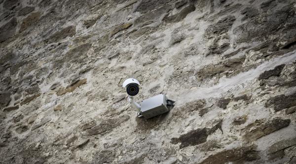 Loial Portofoliu portofoliu 338