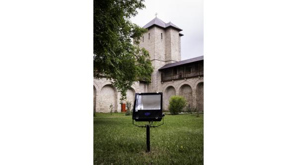 Loial Portofoliu portofoliu 342