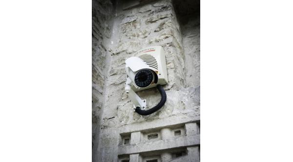 Loial Portofoliu portofoliu 343