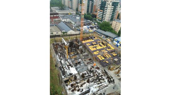 Loial Portofoliu portofoliu 453