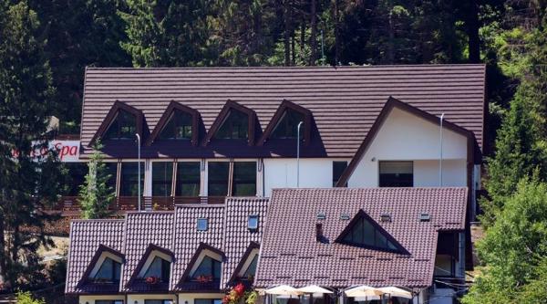 POPASUL DOMNESC - VORONEț, SUCEAVA