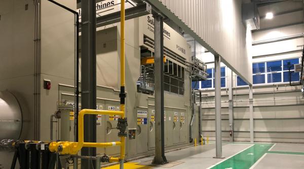 Loial Portofoliu portofoliu 599